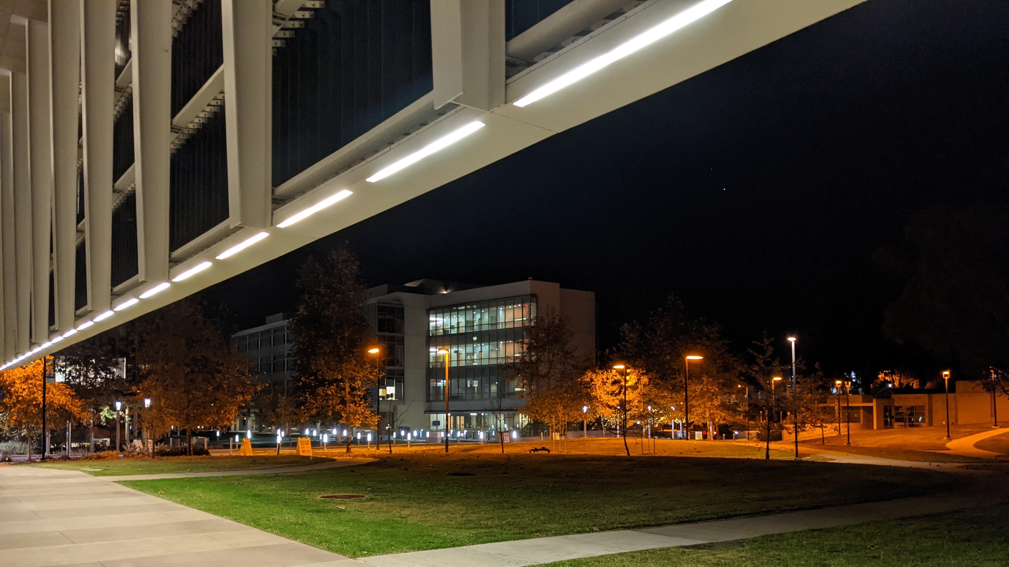 Skaggs Building at night